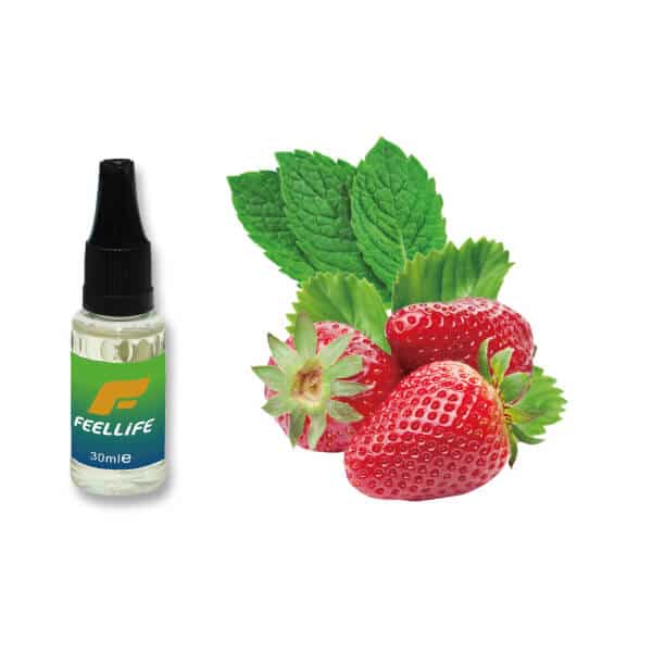 Strawberry Mint Feellife Eliquid Postvapors 1