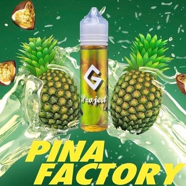 G Project Pina Factory