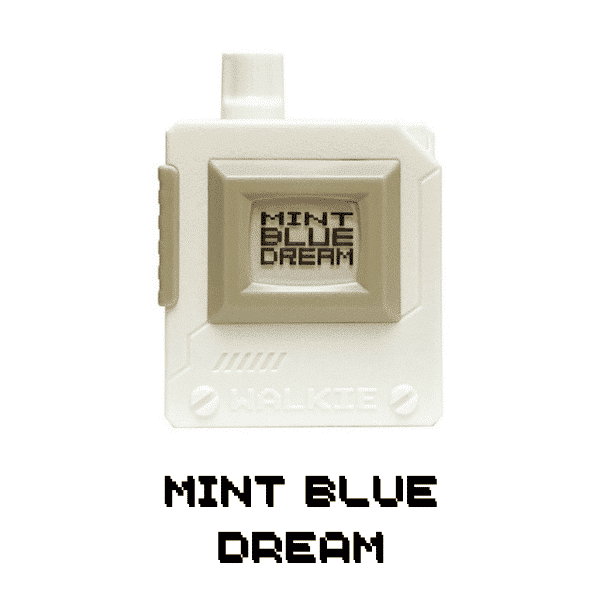 walkie disposable vapes 6000 puffs MINT BLUE DREAM