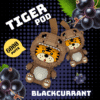 Chengda Tiger Disposable Pod 6000Puff Blackcurrant