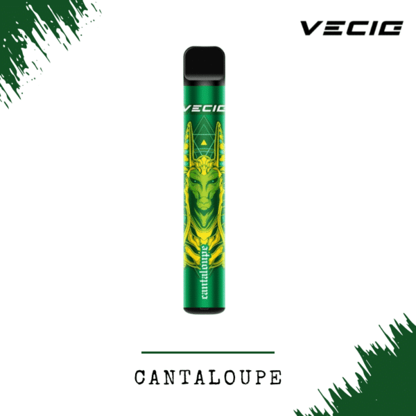 VECIG 600puff Disposable Pod Cantaloupe