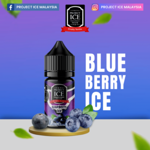 Blueberry ice Fruity Series Saltnic Project ICE 30ml 1