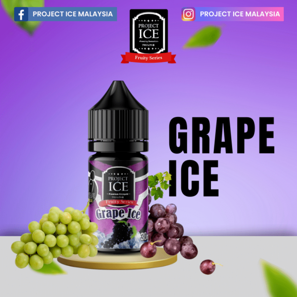 Grape ice Fruity Series Saltnic Project ICE 30ml 1