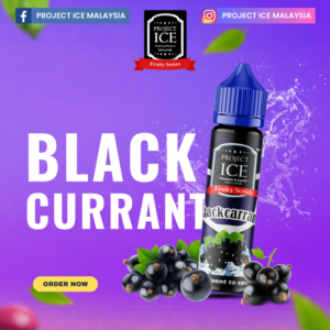 Blackcurrant Project ICE 60ml 1