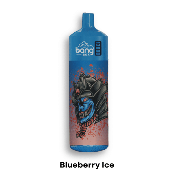 Bang Box 12000 Puffs Disposable Blueberry Ice 1
