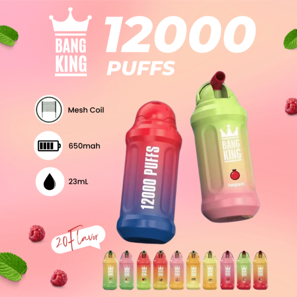 Bang King 12000 Puffs Disposable 1